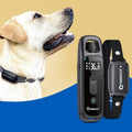 Remote Control Anti-Barking Electric Shock Collar